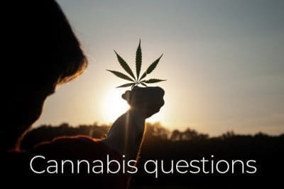 is cannabis oil legal in Thaland